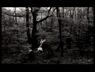 Le Chant des oiseaux Extrait vidéo (6) VO