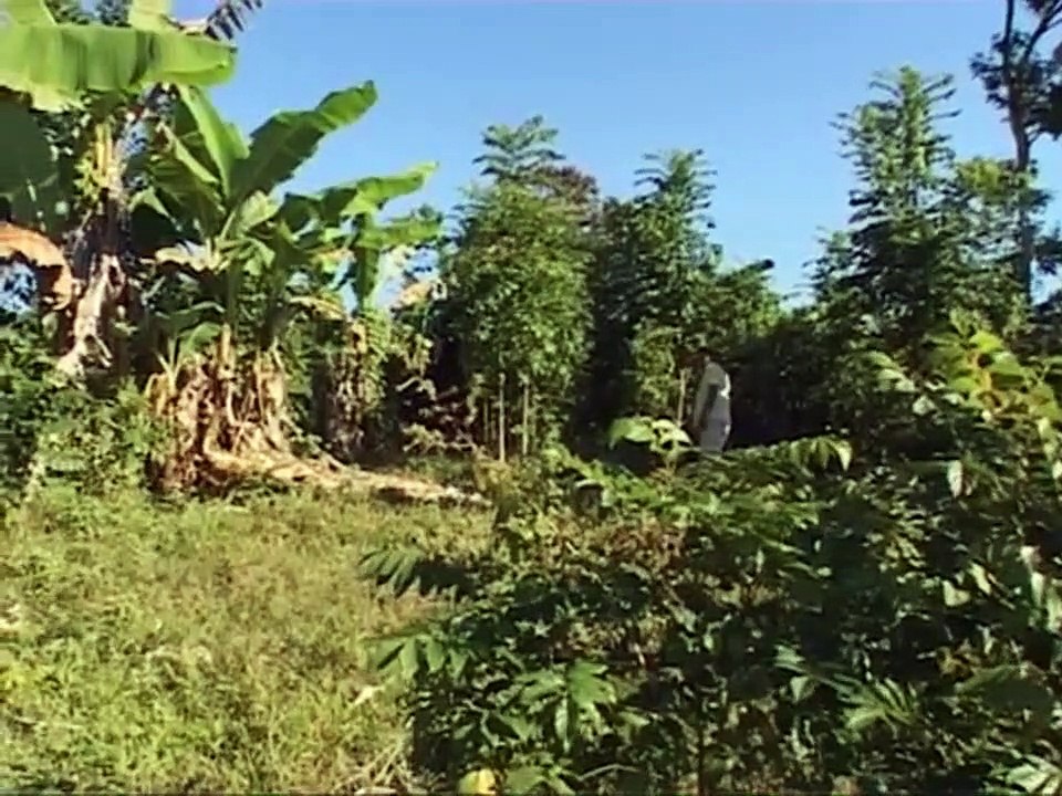 Hazo Mena, les hommes du bois rouge Bande-annonce VF