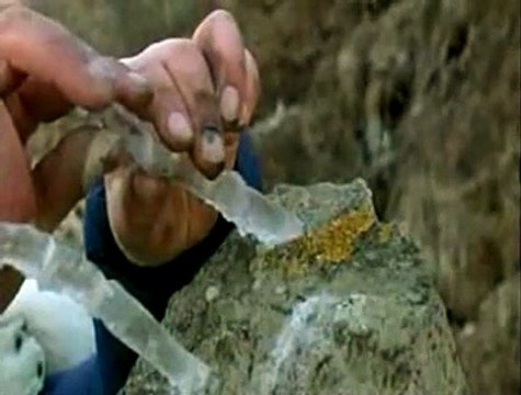 Rivers and Tides Extrait vidéo (2) VF