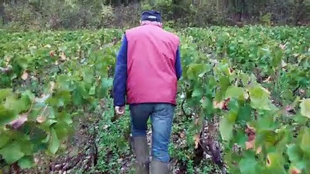 Le Champagne a rendez-vous avec la Lune Bande-annonce VF