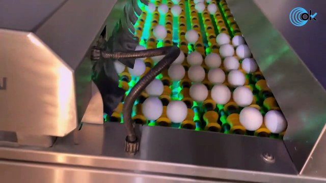 El Foco: “Los precios están cambiando los hábitos alimenticios”, Granjas Villarreal