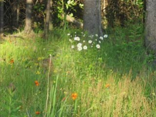 LETTRE AUX LOCATAIRES DE LA MAISON  «TERRE»_0001 COPIE A