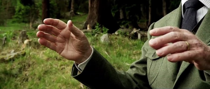 Youth - EXTRAIT VOST La symphonie des vaches