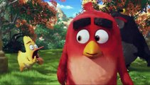 Angry Birds - Le Film - EXTRAIT VOST 
