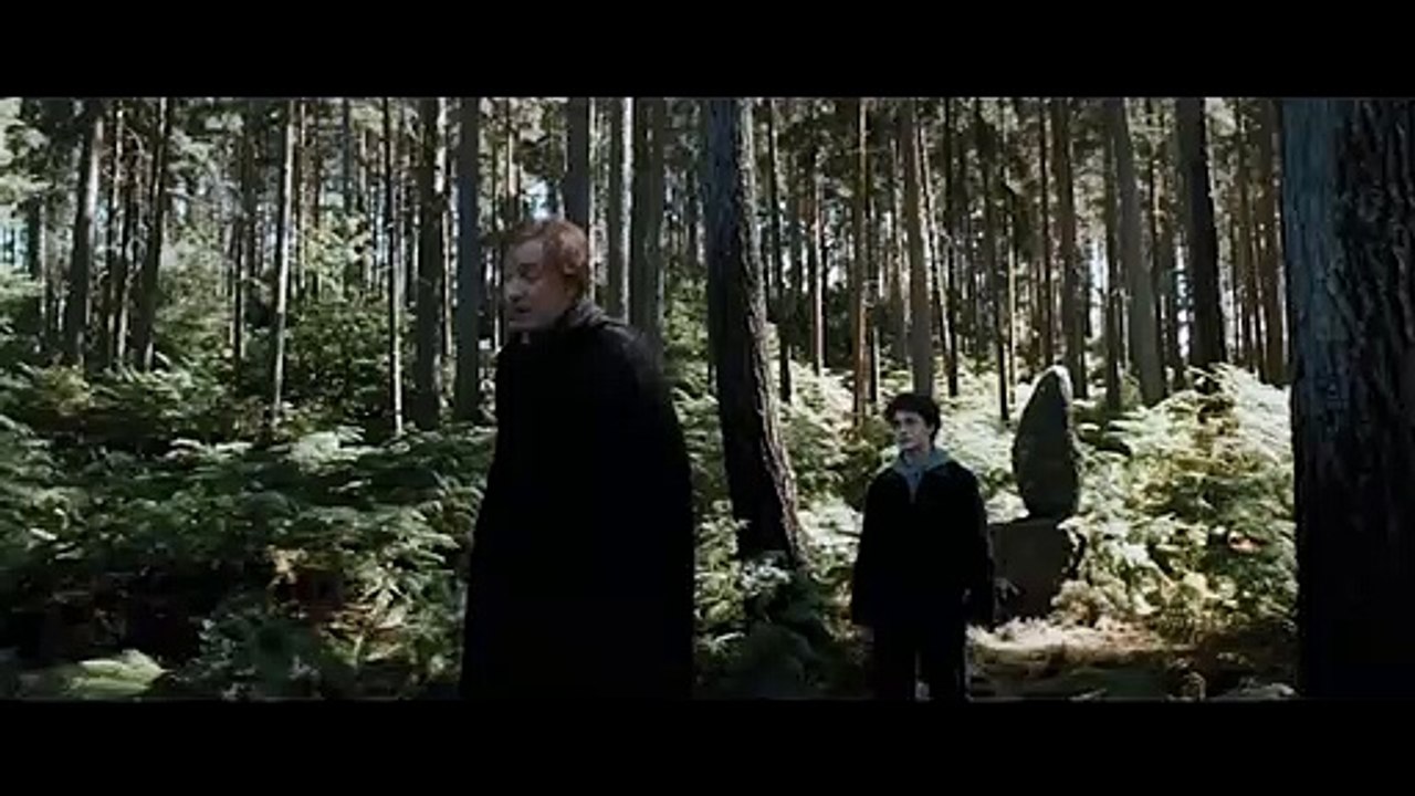 Harry Potter est méchant !