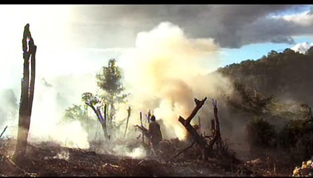 Le Pays à l'envers Bande-annonce VF