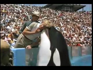 Simon et Simon Extrait vidéo VO