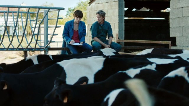 Petit Paysan EXTRAIT Je suis pas loin