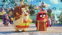 Angry Birds - Le Film - EXTRAIT VOST 