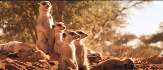La Famille Suricate Extrait vidéo (3) VF