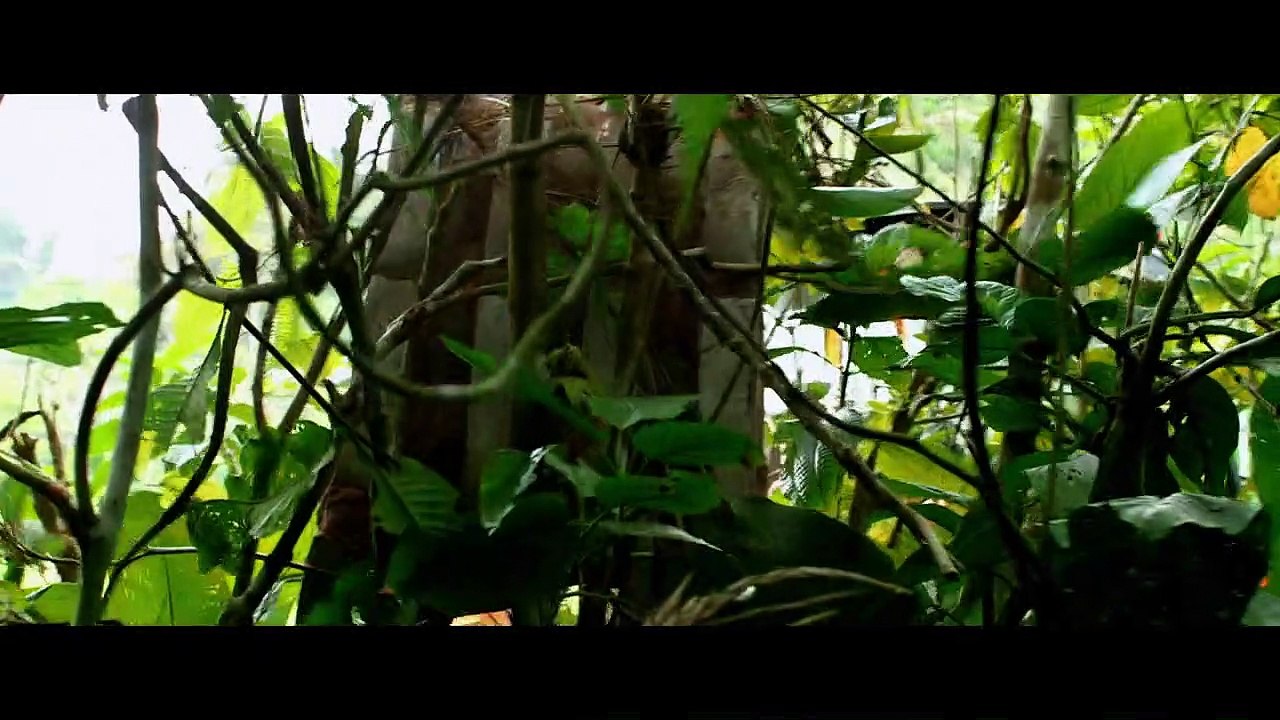 The Green Inferno Bande-annonce VO