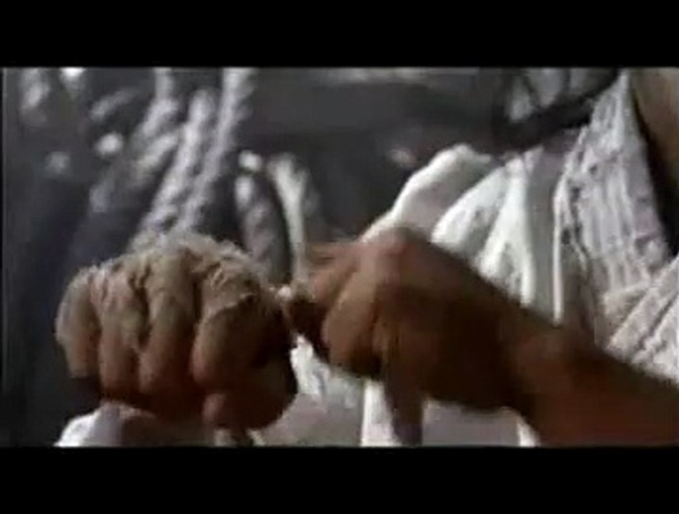 Fighter in the wind Teaser VF