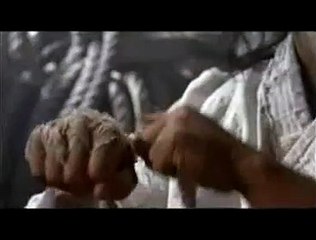 Fighter in the wind Teaser VF