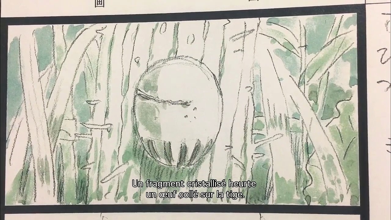 Never-Ending Man : Hayao Miyazaki EXTRAIT VOST "La Naissance de Boro"