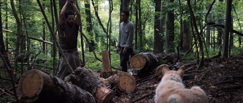 It Comes At Night Bande-annonce VF