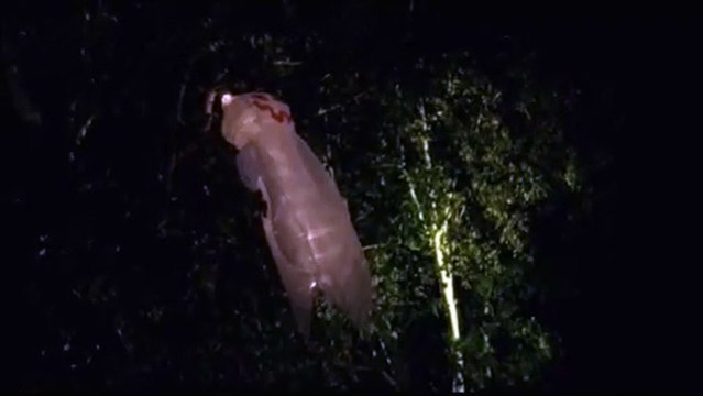 Raising Hope - saison 1 - épisode 5 Extrait vidéo VO