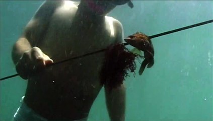 Le Chant d&#039;une île Bande-annonce VF
