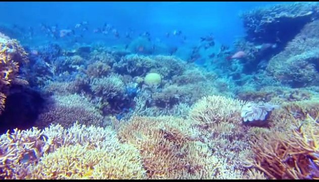 Voyage sous les mers 3D Bande-annonce VF