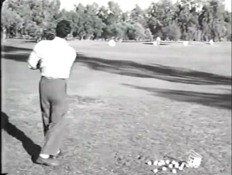 Amour, délices et golf Bande-annonce VO