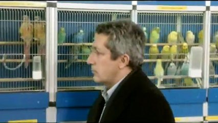 Trésor Bande-annonce VF