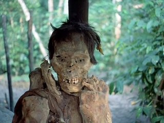 Aguirre, la colère de Dieu Bande-annonce VO