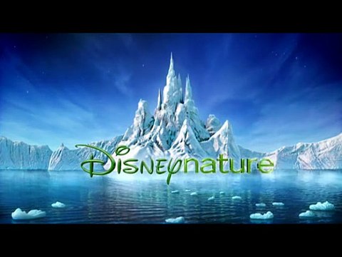 Jean-François Camilleri Interview : Les Ailes pourpres : le mystère des flamants