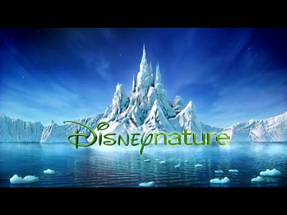 Jean-François Camilleri Interview : Les Ailes pourpres : le mystère des flamants