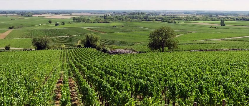 Ce qui nous lie BONUS Ce qui nous lie est là de Camélia Jordana