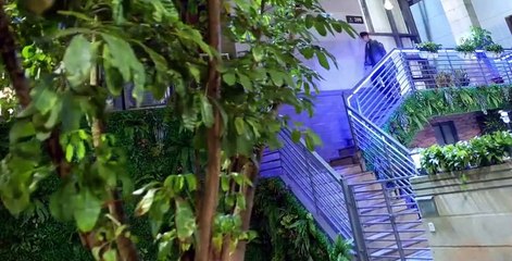 Mr. Fox and Miss Rose S01 E05