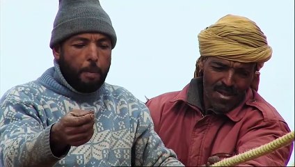 La Pépinière du désert Extrait vidéo (3) VO