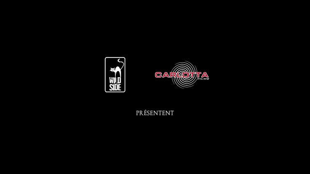 Rétrospective Kurosawa - Partie 2