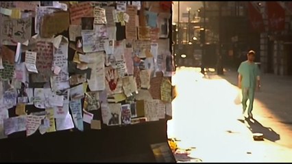 Le mash-up des plus beaux plans de Danny Boyle