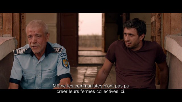 Dogs - EXTRAIT VOST Qu'ils s'en occupent, eux