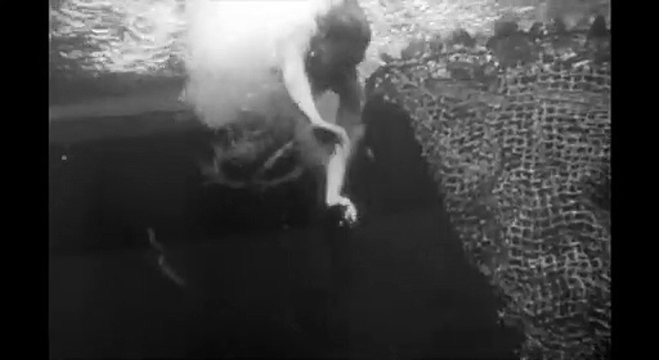 L'Etrange créature du lac noir Extrait vidéo VO