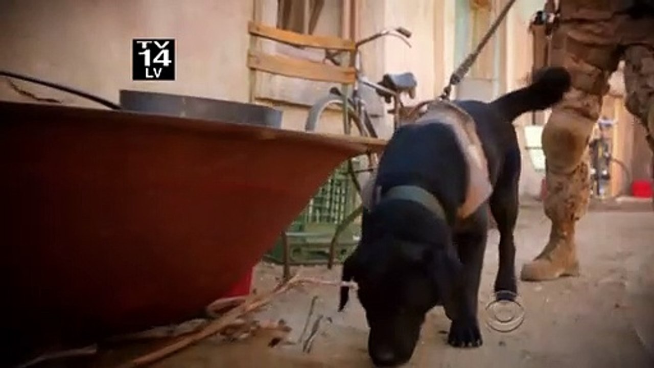 NCIS : Enquêtes spéciales - saison 10 - épisode 18 Teaser VO