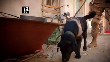NCIS : Enquêtes spéciales - saison 10 - épisode 18 Teaser VO
