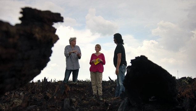 L'Illusion verte EXTRAIT VF Publicité mensongère