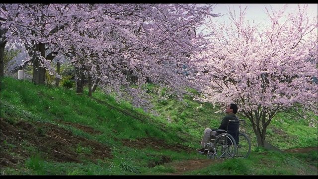 Cycle Kitano : Chemins de traverse - BANDE-ANNONCE VOST