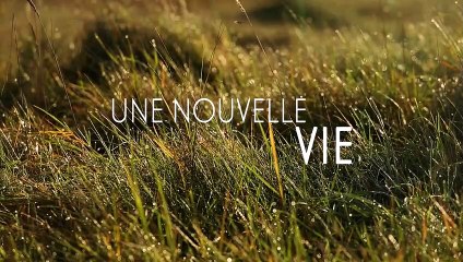 Jeune bergère Bande-annonce VF