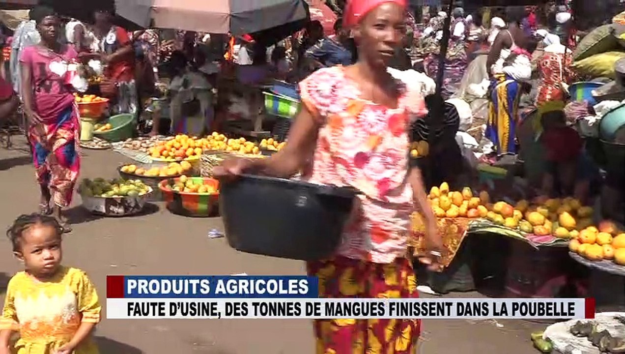 PRODUITS AGRICOLES : produits agricoles faute d'usine des tonnes de mangues finissent dans la poubelle