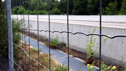 L’intérêt général et moi Bande-annonce (2) VF