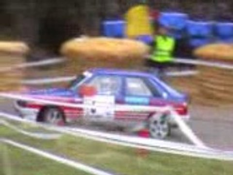 Rallye du pays Avallonnais 2008 es8 2ieme