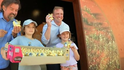 Queensland tourism sector showing signs of recovery