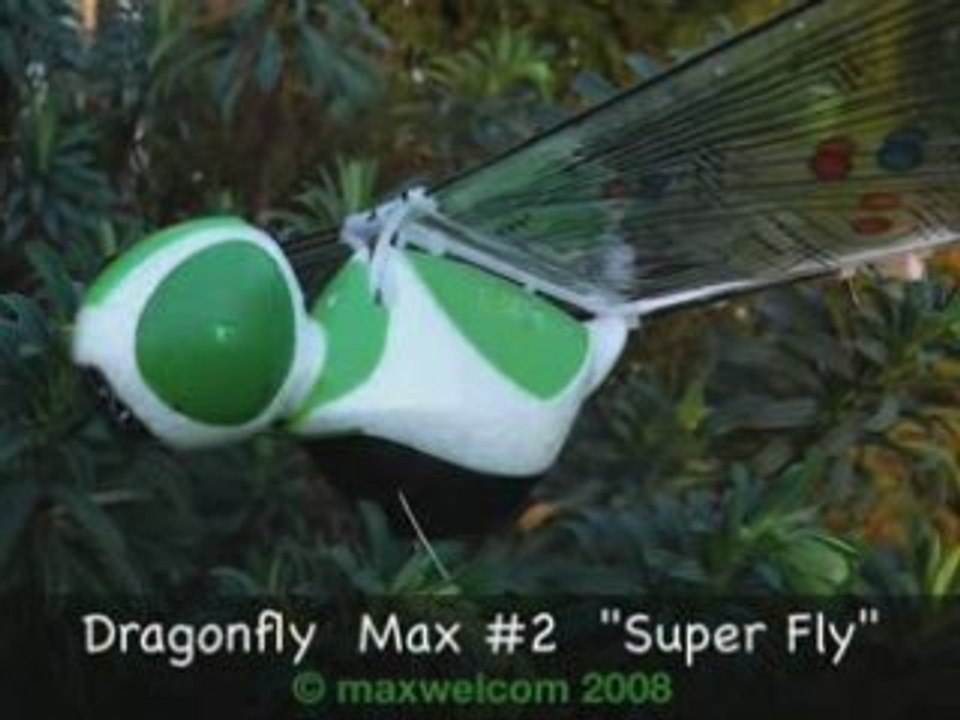 Dragonfly Max #2 "super fly"