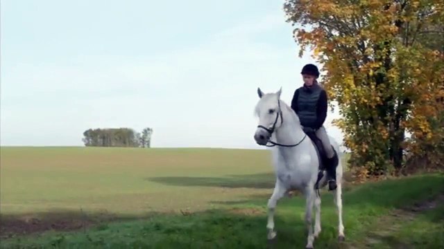 Dix pour cent - EXTRAIT La leçon d'équitation