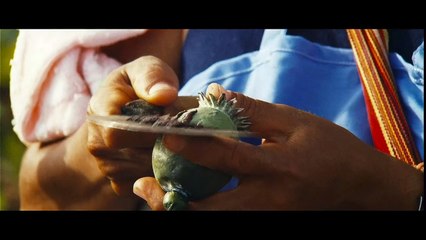 Protégé Bande-annonce VF