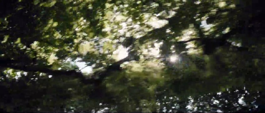 Dernier amour Bande-annonce VF