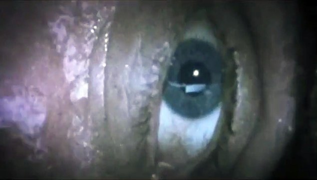 John Doe - saison 1 Extrait vidéo VO