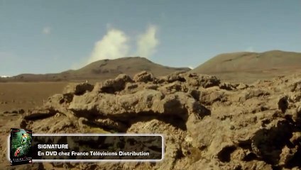 Signature Extrait vidéo VF
