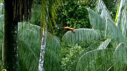 One Life Bande-annonce VO